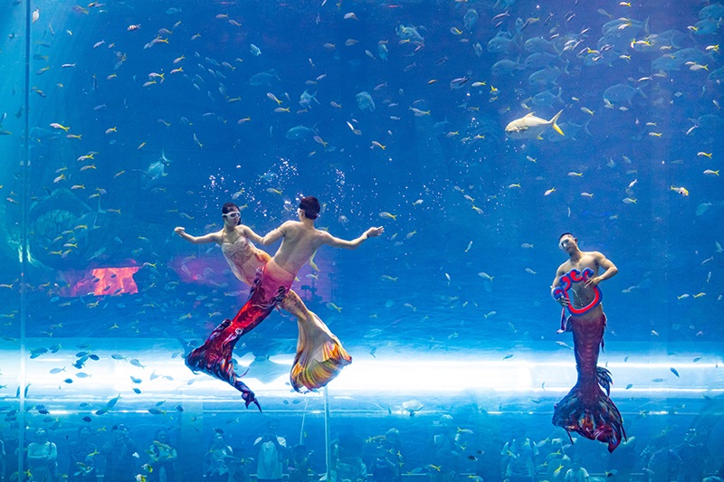 Mermaid show inside The Sea Shell Oceanarium